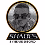 1 VIBE