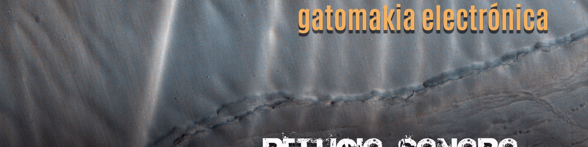 gatomakia electrónica
