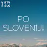 Koprski mestni svet županu naložil pripravo predloga spremembe državnega prostorskega načrta Luke