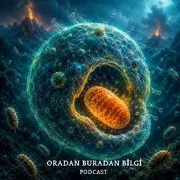 Karmaşık Yaşam Nasıl Başladı?