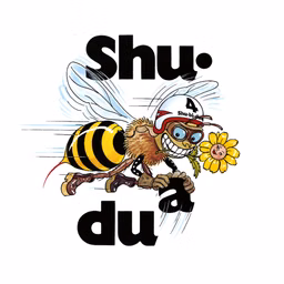 Shu-Bi-Dua Radio