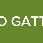 RADIO GATTO RS