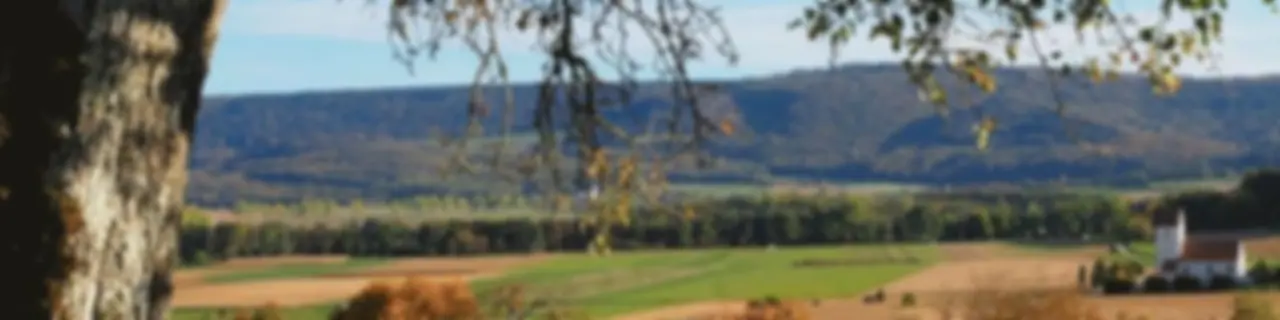 Sundgau Vox