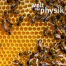 Folge 384 – Komplexität und Chaos