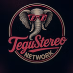 TeguStereo
