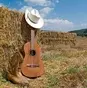Great Country Radio