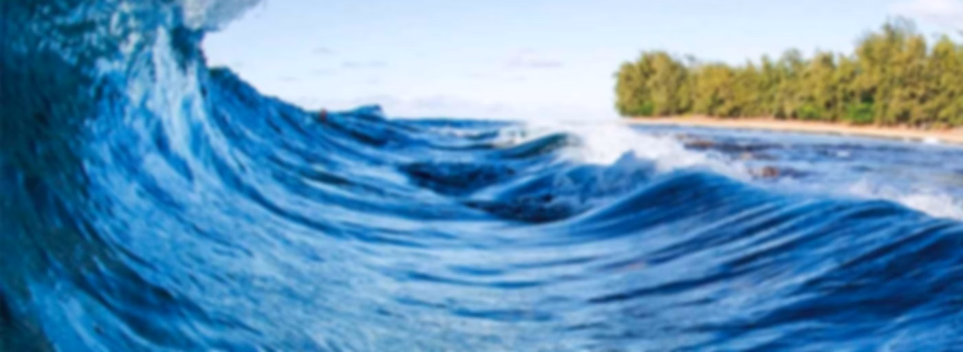Deep Dive Into Water Safety
