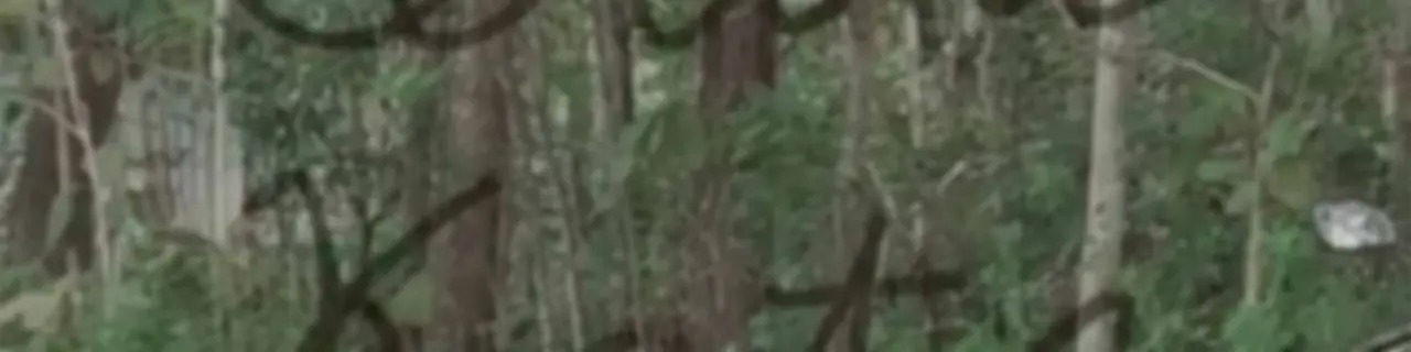 Cerita Kata