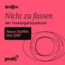Clemens Pig: Generaldirektor auf ÖVP-Wunsch und von SPÖ-Gnaden