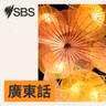 Bonus Practice: #115 Working on the side (Med) - 【SBS學英語】重溫115 集：討論兼職搵外快