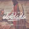 NO ME HA OLVIDADO