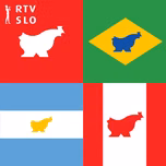 Globalna vas