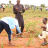 Entraide communautaire : le Gayya ou Boogu au service des travaux agricoles(Magazine)