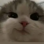 Santos
