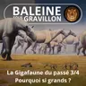 BEST OF D'ÉTÉ #27 La Gigafaune du passé 3/4 : Pourquoi si grands ?