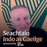 Dáithí Ó Sé: ‘A Blasket Island boatman was the best job I ever had!’