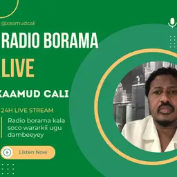 Radio Borama