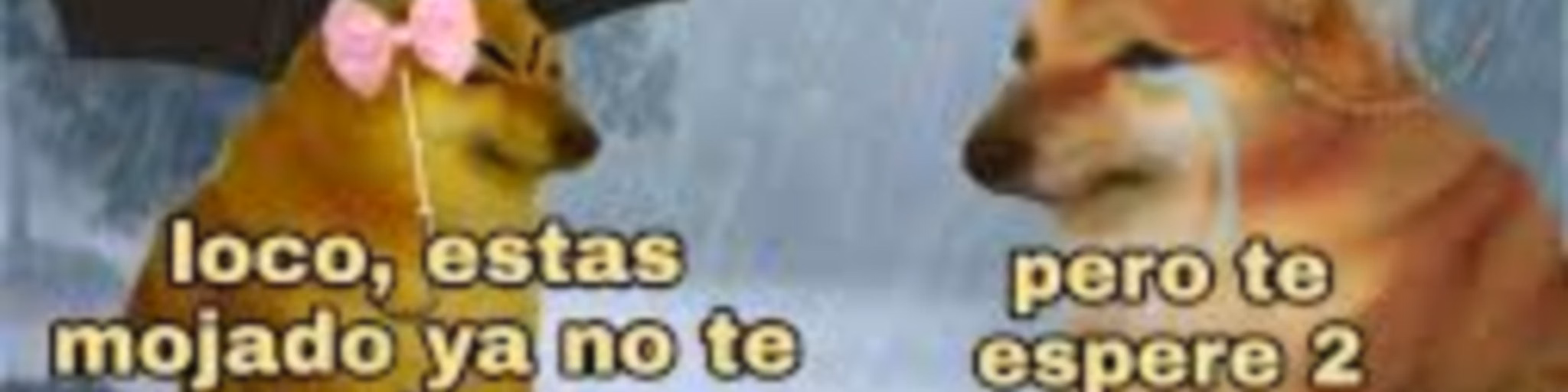 Mil horas