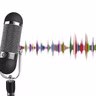 draft_1633047254959322_audio.mp3