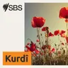 12 sal derbas bûn, Êzidî hîn jî li benda edaletê ne