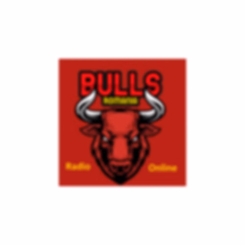Metalica Bulls Romania