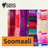 Somalia News: Warka Soomaaliya Arbaco 5 August 2026