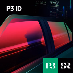 P3 ID