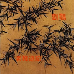 老殘遊記 (Lao Can You Ji - Mr Derelict)