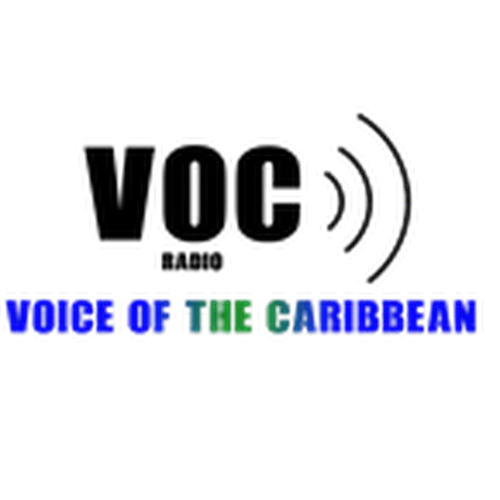 Радио звучание. Logo Radio Voice.