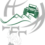 Travel Radio