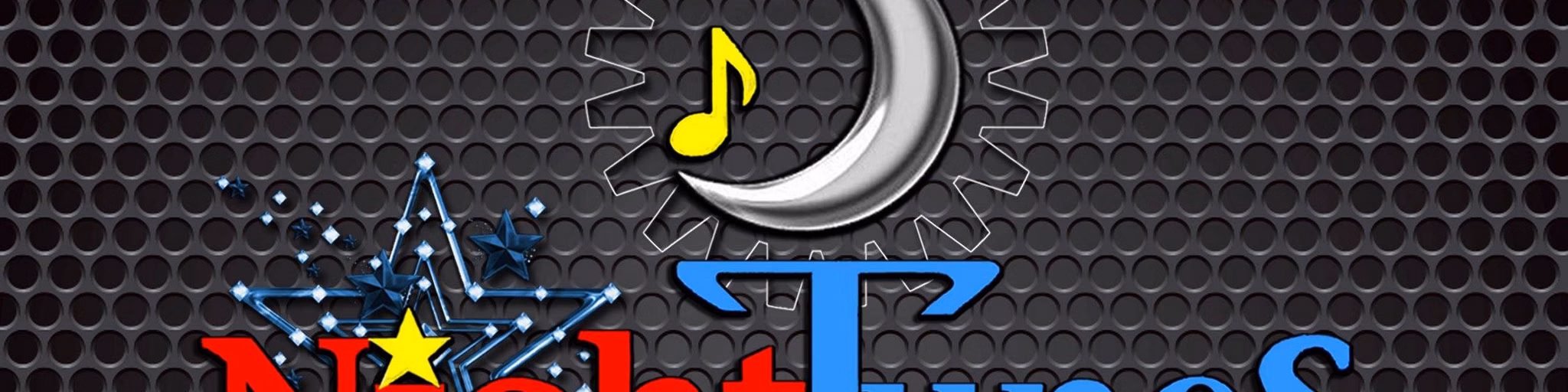 Night Tunes FM