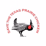 Radio Free Texas Prairie Chicken