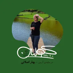 بیست و پنج | در سایهٔ آرسن: بهار اصلانی
