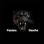 Rádio Pantera Gaúcha