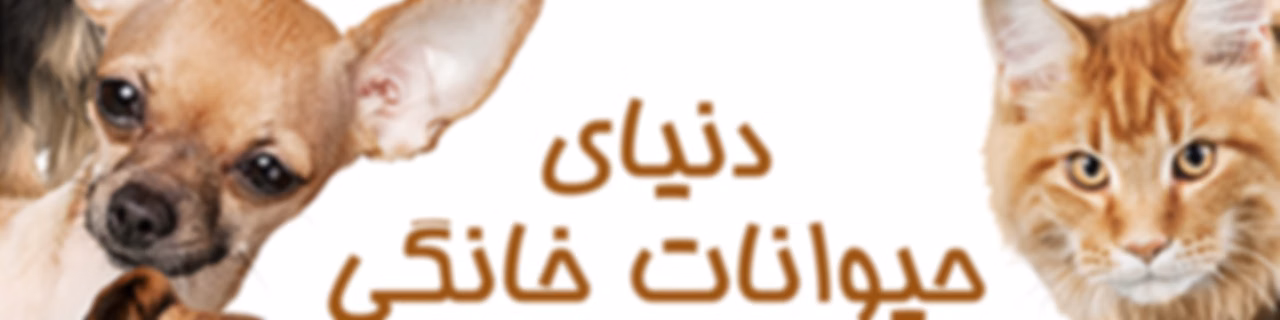 دنیای حیوانات خانگی