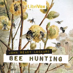 Bee Hunting by John Ready Lockard (1858 - 1925)