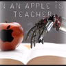 Ground Zero Rewind: When An Apple Is A Teacher