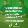 Safra de Soja 2025: Desafios, Rentabilidade e o Futuro do Milho Safrinha! 🌱🚜