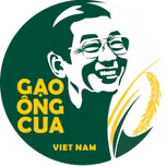 Gao ST25 Chinh Hang - Gao Ong Cua Podcast