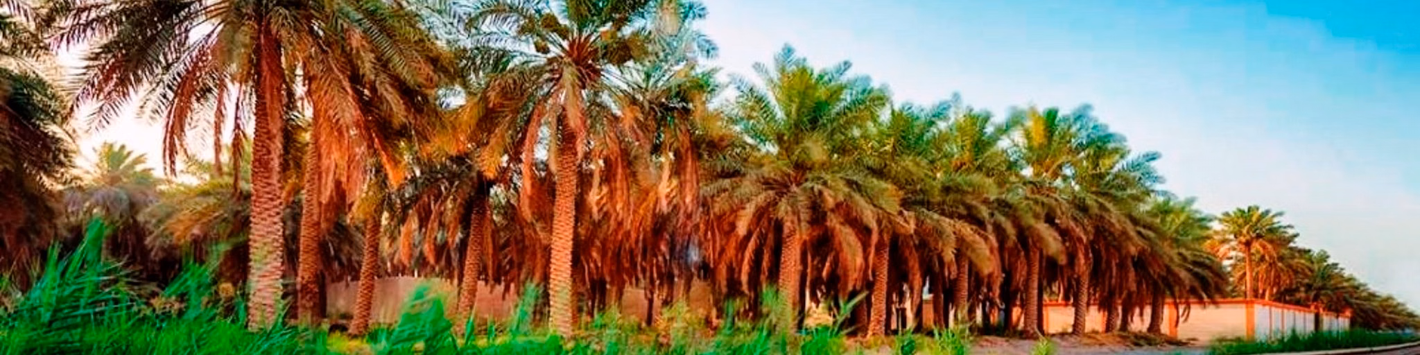 راديو نادي التوعية للبرامج الدينية