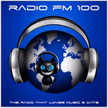 Radio FM 100