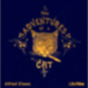 Adventures of a Cat, and a Fine Cat Too!, The by Alfred Elwes (1819 - 1888)