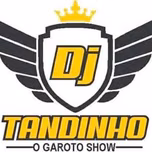 DJ TANDINHO O GAROTO SHOW