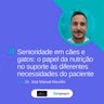 Senioridade em cães e gatos: o papel da nutrição no suporte às diferentes necessidades do paciente