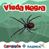 Viuda negra: La verdad detrás del miedo