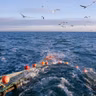EU fisheries ministers meet in Cork