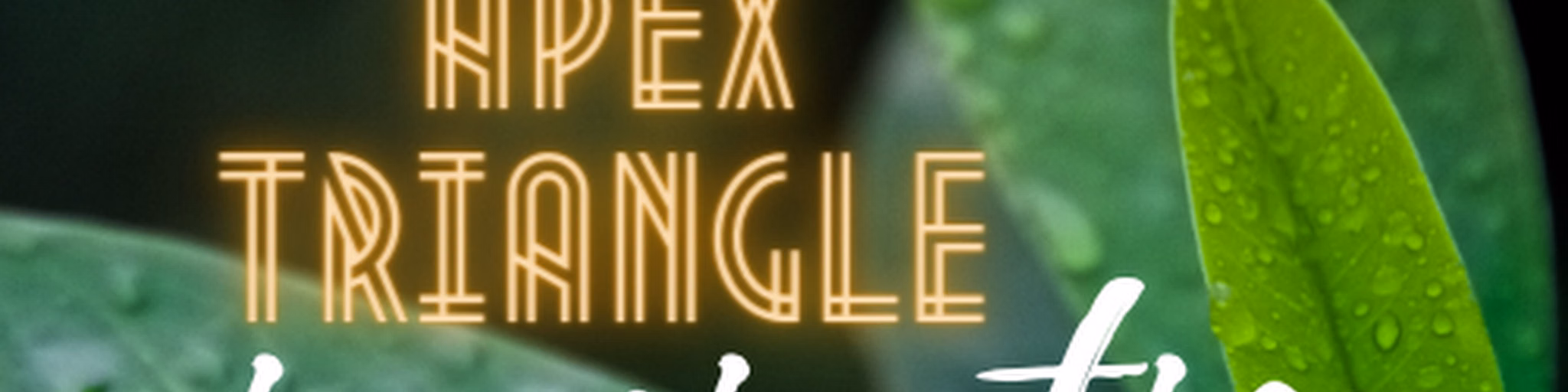 APEX TRIANGLE  INSPIRATION