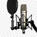 ICS RADIO