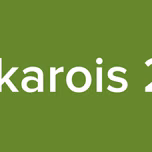 Dakarois 221