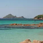 Plage Vibes